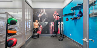 Axis Wellington Green Gallery 21