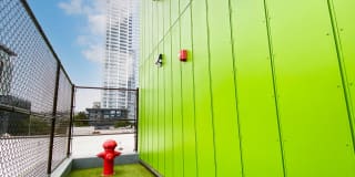 Boxcar Gallery 6