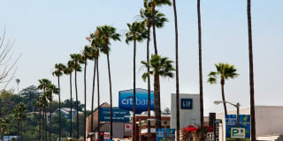 Windsor Lofts at Universal City Gallery 30