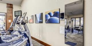 Bella Sonoma Gallery 14