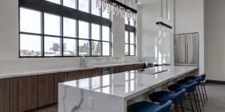 Vineyards Gallery 70