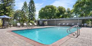 The Pines Apartments Gallery 16