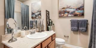 Brewster Commons at River Chase Gallery 10