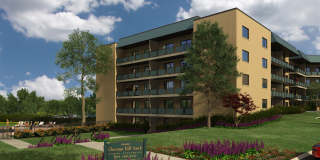 Chestnut Hill South Gallery 1