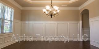 14 Ossabaw Loop Gallery 6