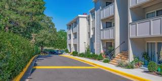 The Oliver in Alexandria Gallery 3