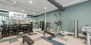 The Scottie Gallery 19