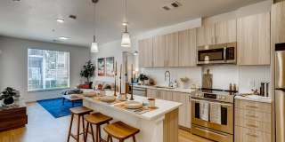 Legacy at Fitz Gallery 56