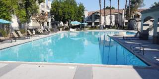 Deerwood Apartments Gallery 17