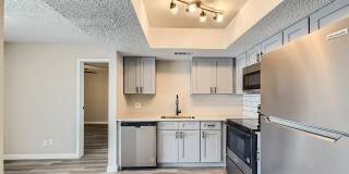 Rise Spring Pointe Gallery 32