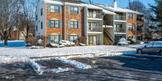 344 Danbury Lane unit: 344 Gallery 1