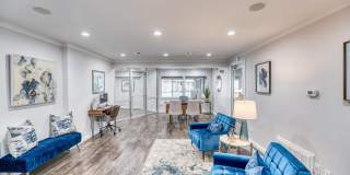 Juniper Springs Gallery 15