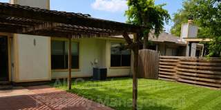 11782 Spring Song Gallery 19