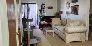 2 Bedroom 1 Bathroom Apartment Gallery 5