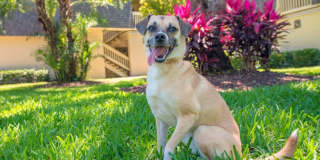 Westmount at Winter Park Gallery 18