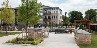 The Cannon Gallery 36