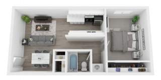 Sloans Lake West Gallery 11