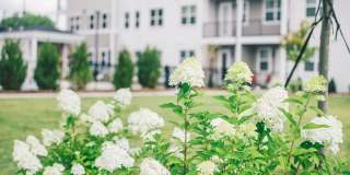 Woodlands Creekside Gallery 12