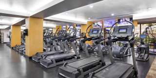 Costa Verde Village Gallery 22