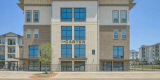The Carter Gallery 37