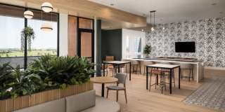 RYE Central Park Gallery 25