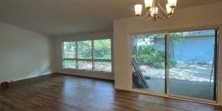 305 Naples Drive Gallery 1