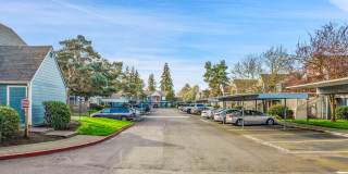 BROOK HOLLOW APARTMENTS Gallery 6