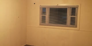 HOME NEAR UNIVERSITY NEW CARPET Gallery 10