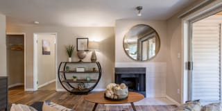 The Seasons Gallery 8