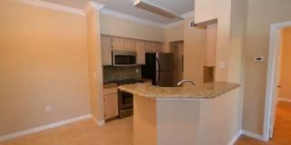Apartment for rent Gallery 6