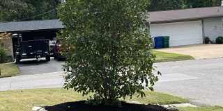 10200 Julius Northway Gallery 5