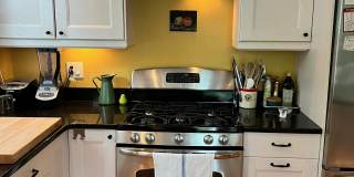 119 Antrim St Gallery 7