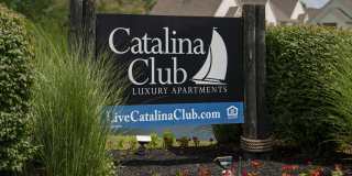 Catalina Club Gallery 14