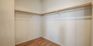 716 CALAMUS PALM Place Gallery 15