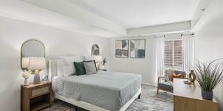 Aspen at Lake Trail Gallery 23