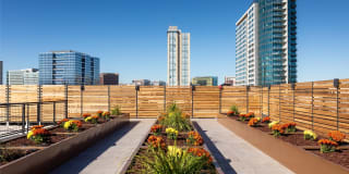 The Taft The Taft Gallery 49