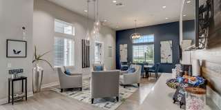 Springs at Orchard Road Gallery 24