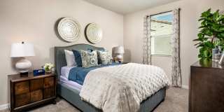 San Carlo Townhomes San Carlo Townhomes Gallery 2