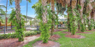3960 Oaks Clubhouse Drive Gallery 46