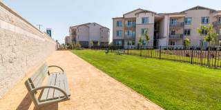 Arrive Suisun Gallery 29