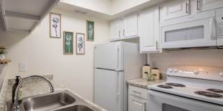 Canyon Creek Gallery 3