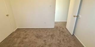 N. Chestnut Street Gallery 15