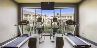 Sundance Creek Gallery 24