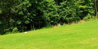 1033 Coldstream Dr Gallery 4