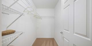 Hollis 7601 Gallery 26