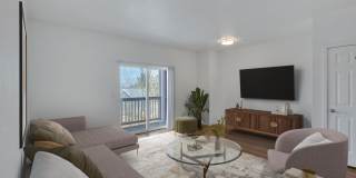 Trocadero Gallery 17