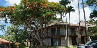 Coconut Inn Gallery 22