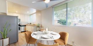 Sunset Barrington Gardens Gallery 8