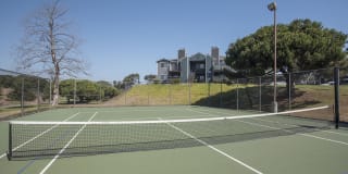 Cypress Creek Gallery 34