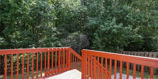 8306 Hornwood Court Gallery 34